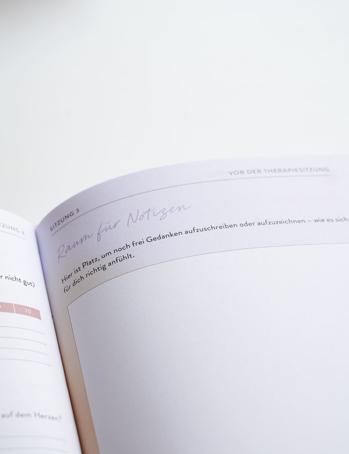 Therapietagebuch „Step by Step, Day by Day“ von Alicia Knebel – Innenansicht Notizen